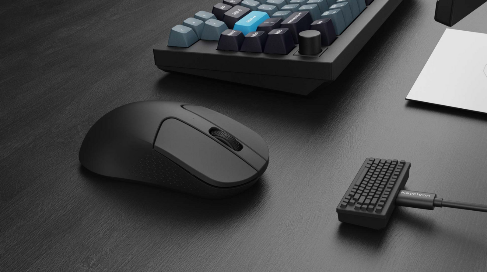 Wired vs. Wireless Mouse