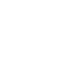 BLUETOOTH