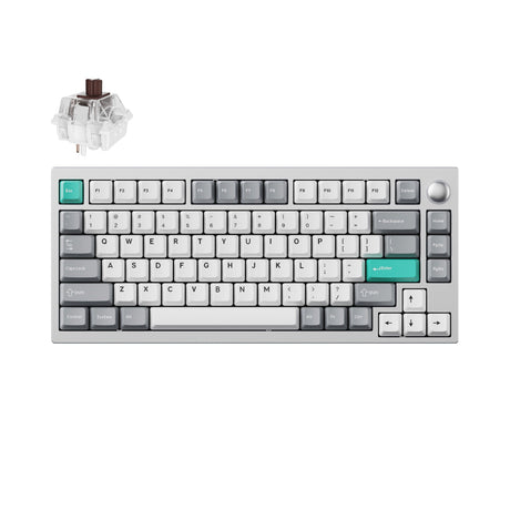 Lemokey P1 QMK/VIA Custom Gaming Keyboard 75 percent Layout Aluminum Space Silver Fully Assembled for Windows Mac Linux Keychron Super Brown